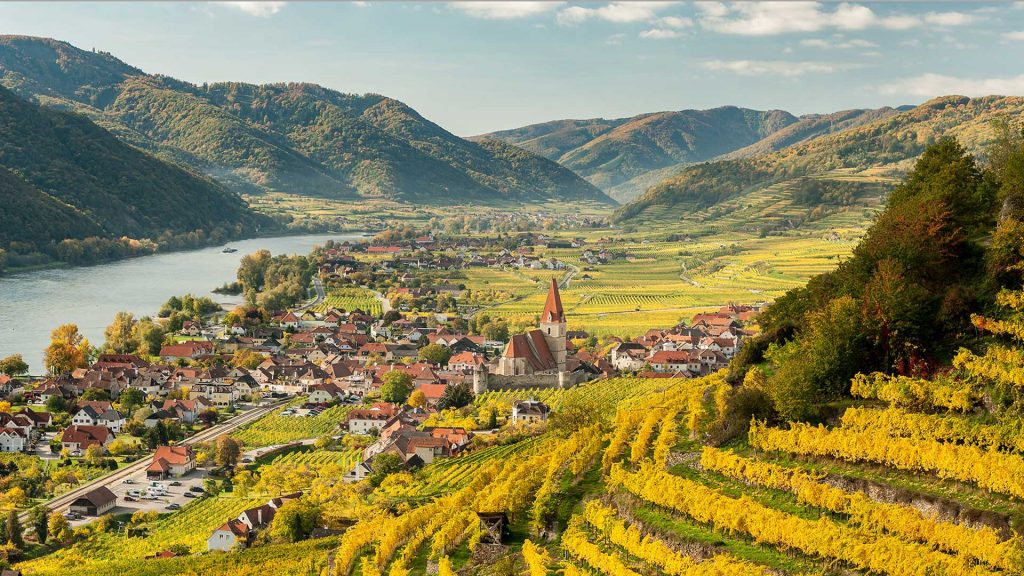 Miller-Aichholz | Weinbaugebiet Österreich