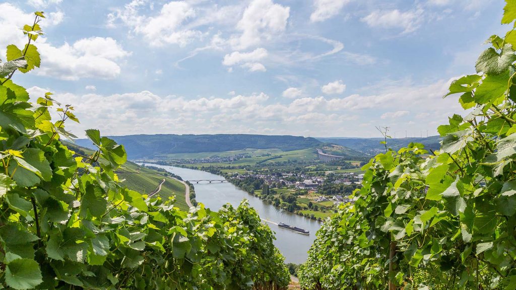 Miller-Aichholz | Weinbaugebiet Deutschland