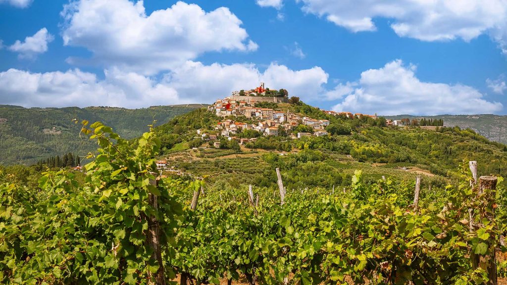 Miller-Aichholz | Weinbaugebiet Kroatien